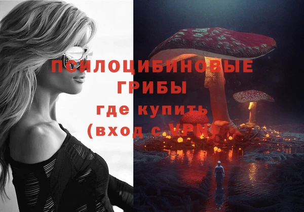 эйфоретик Осинники