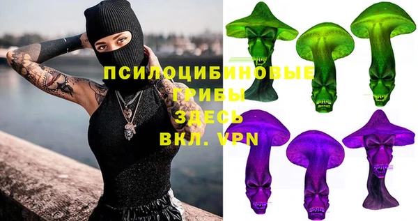 эйфоретик Осинники